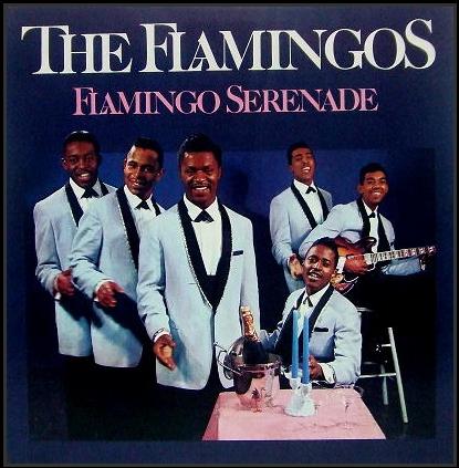 LP-304 - Flamingo Serenade
