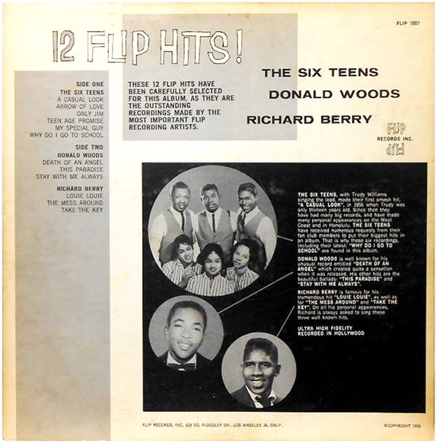 Flip-1001 - 12 Flip Hits! Back Cover